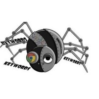 spider یا خزنده  موتور های جستجو چگونه کار می کند
